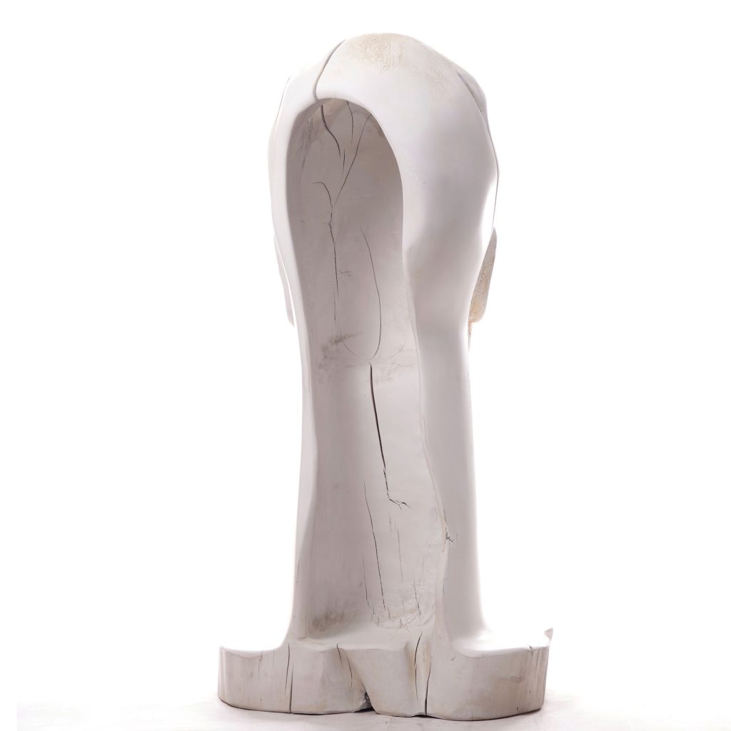 Tête Blanche